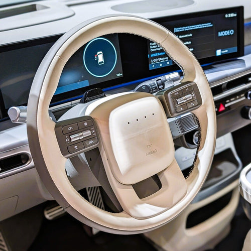 Which EVs dominated sales in 2024🏆?