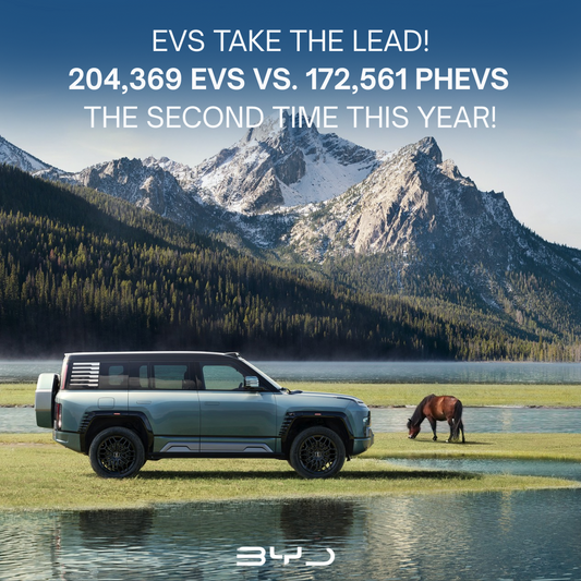 Rivian Ups Security 🔐 Tesla Superchargers Being Removed in NJ + BYD Sells 204,369 EVs 📈